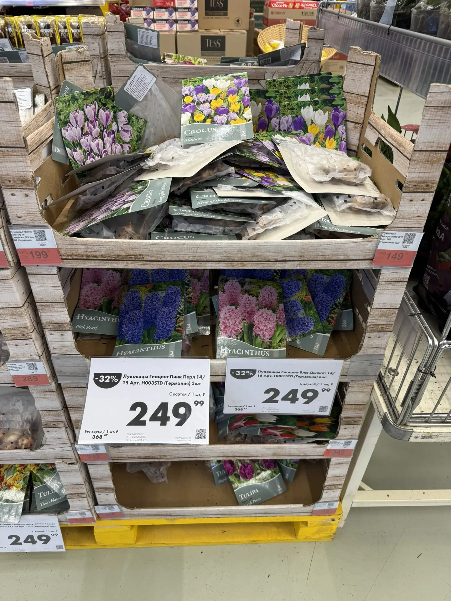 Лента
