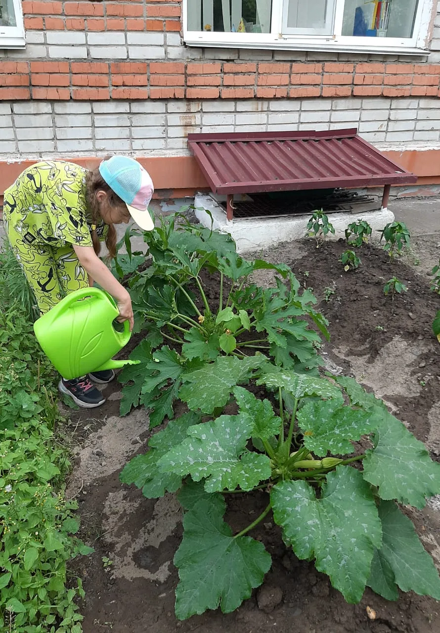 Маленькие агрономы и знатоки витаминов! ☀️🥕