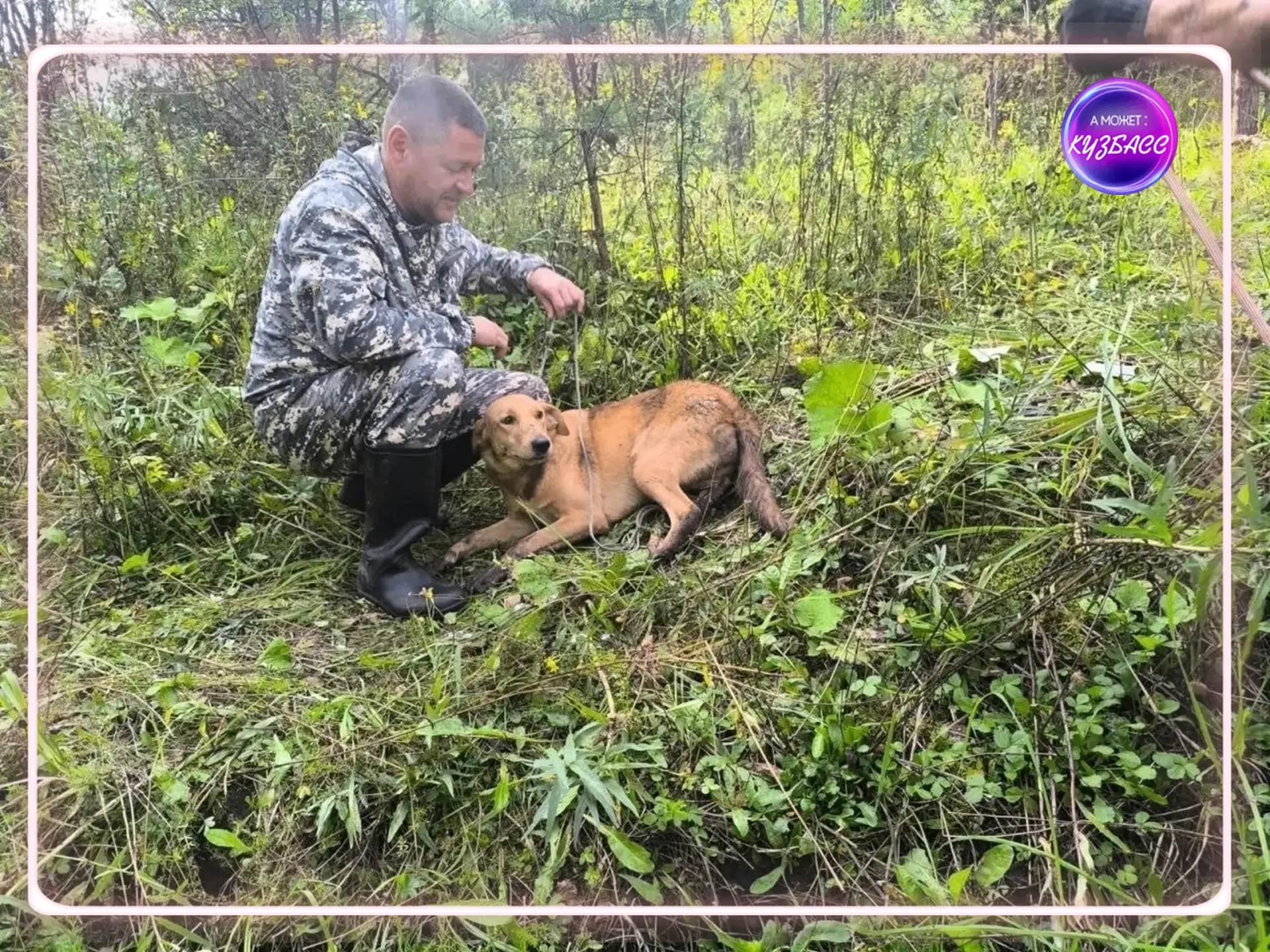 Спасатели вытащили собаку из заброшенной штольни