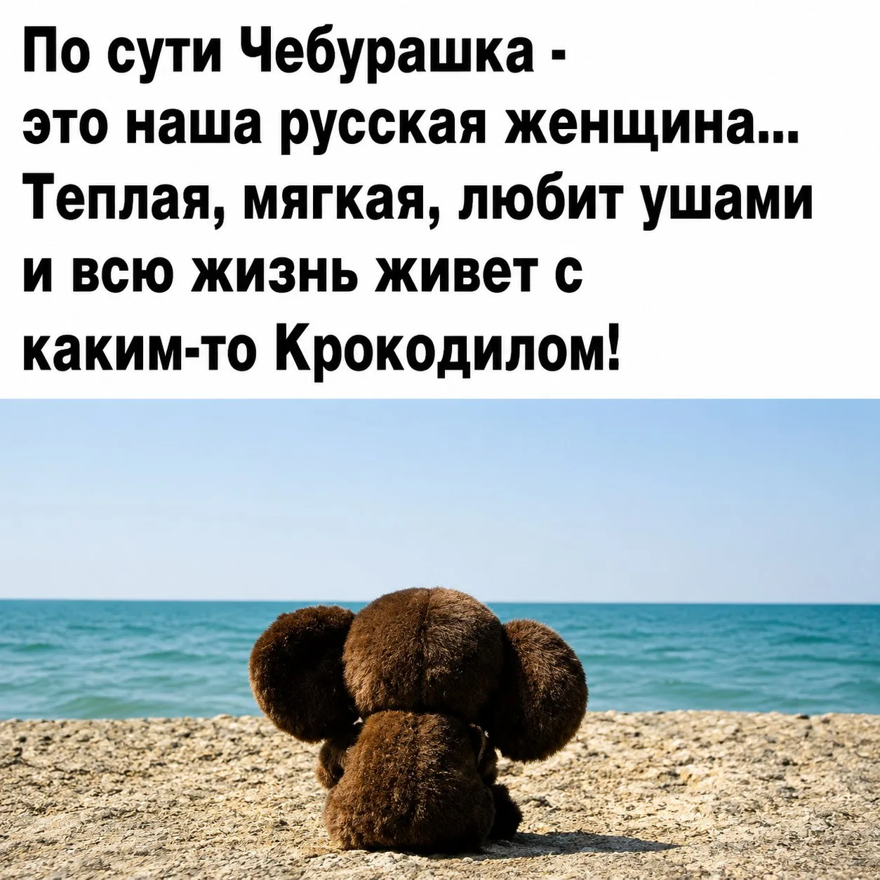 👑 Королева сарказма