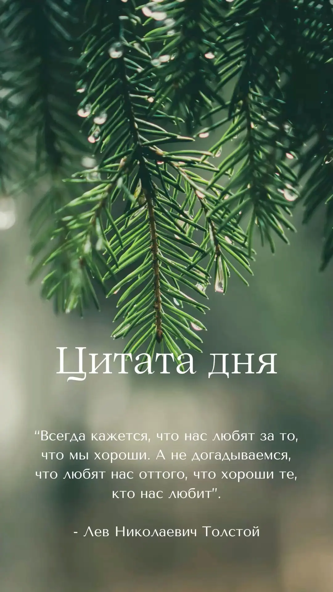 💖 Почему важно ценить людей, которые нас любят?