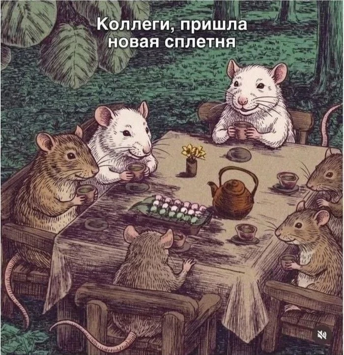 Главное и единственное правило шуток про сиськи: они смешные только если женщина шутит ...