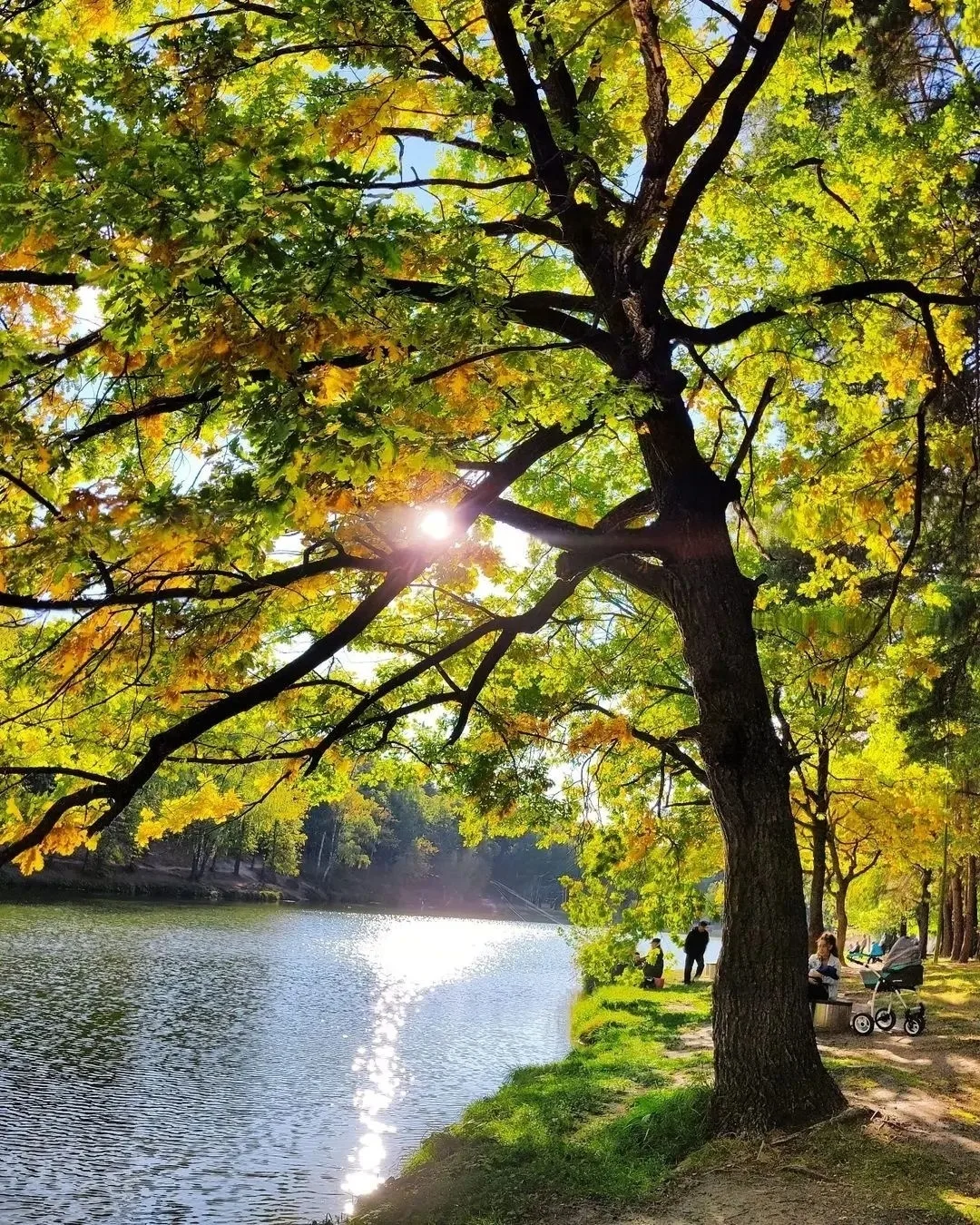 🍂 Озеро Комсомольское, Казань. Осень только начинается