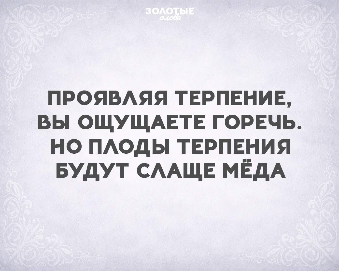 Золотые слова 📜