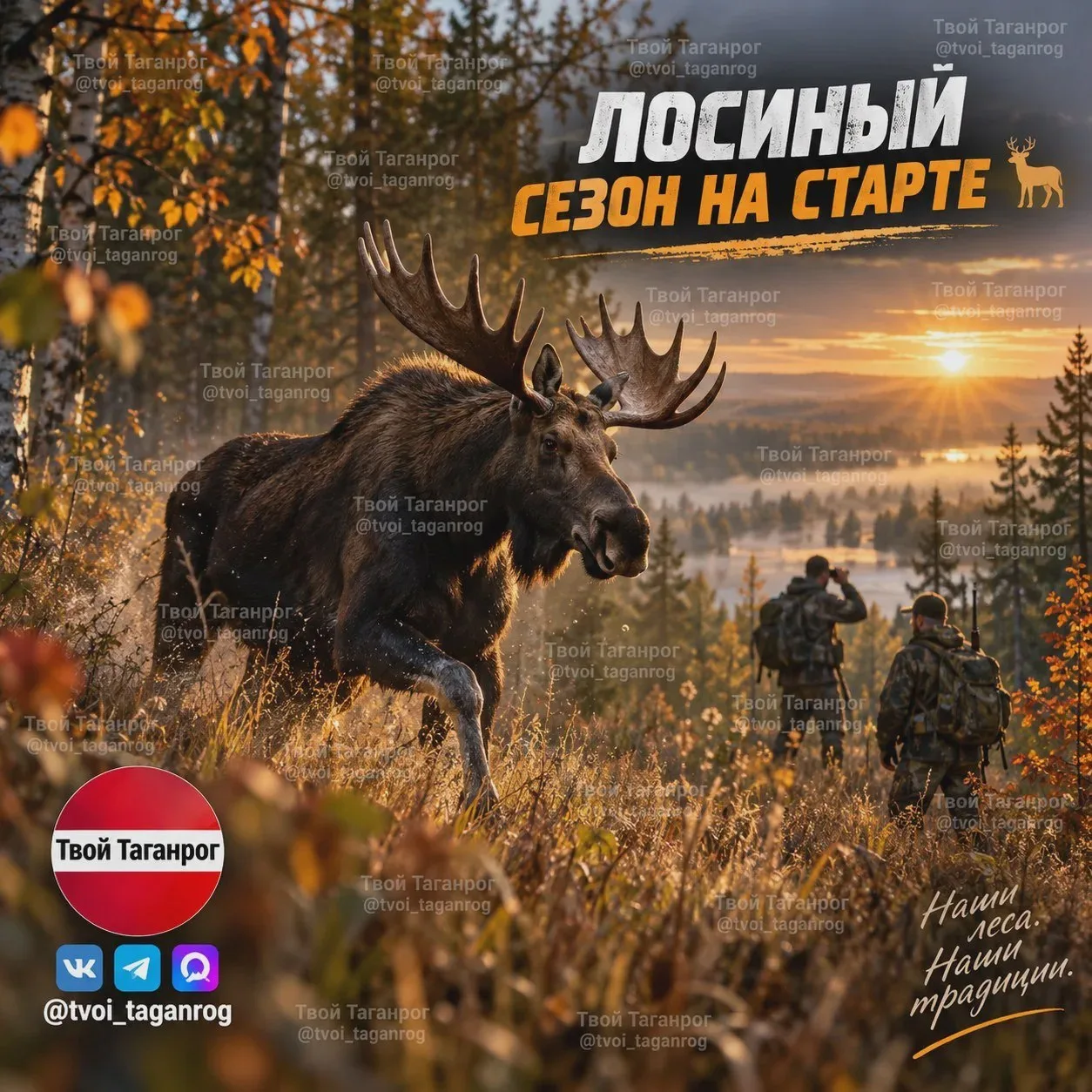 🦌 В Ростовской области стартует лосиный сезон