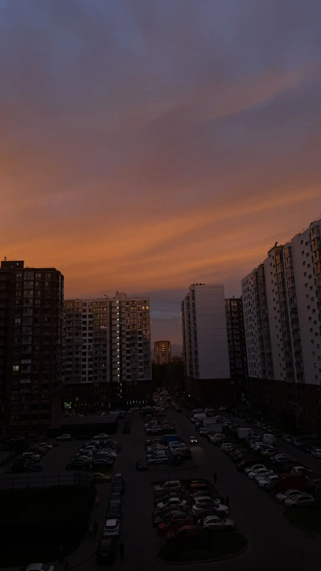 Блин, сижу, поднимаю голову, а там такая красота 😍 е&ушки воробушки вот это небо