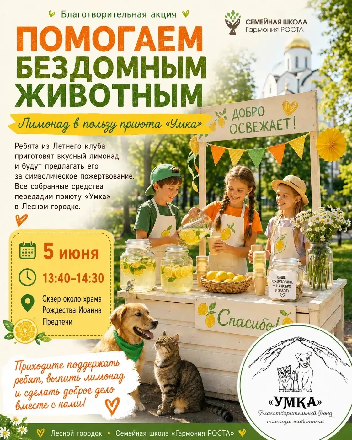 🐈🐕‍🦺 ПОМОГАЕМ БЕЗДОМНЫМ ЖИВОТНЫМ!