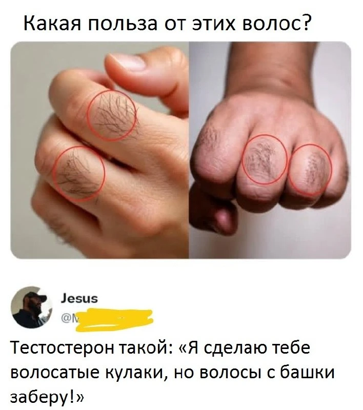 ✨ Анекдот от природы