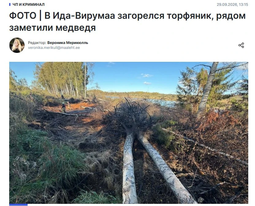 🇪🇪 Дело раскрыто. Похоже, российский след снова найден эстонскими расследователями.