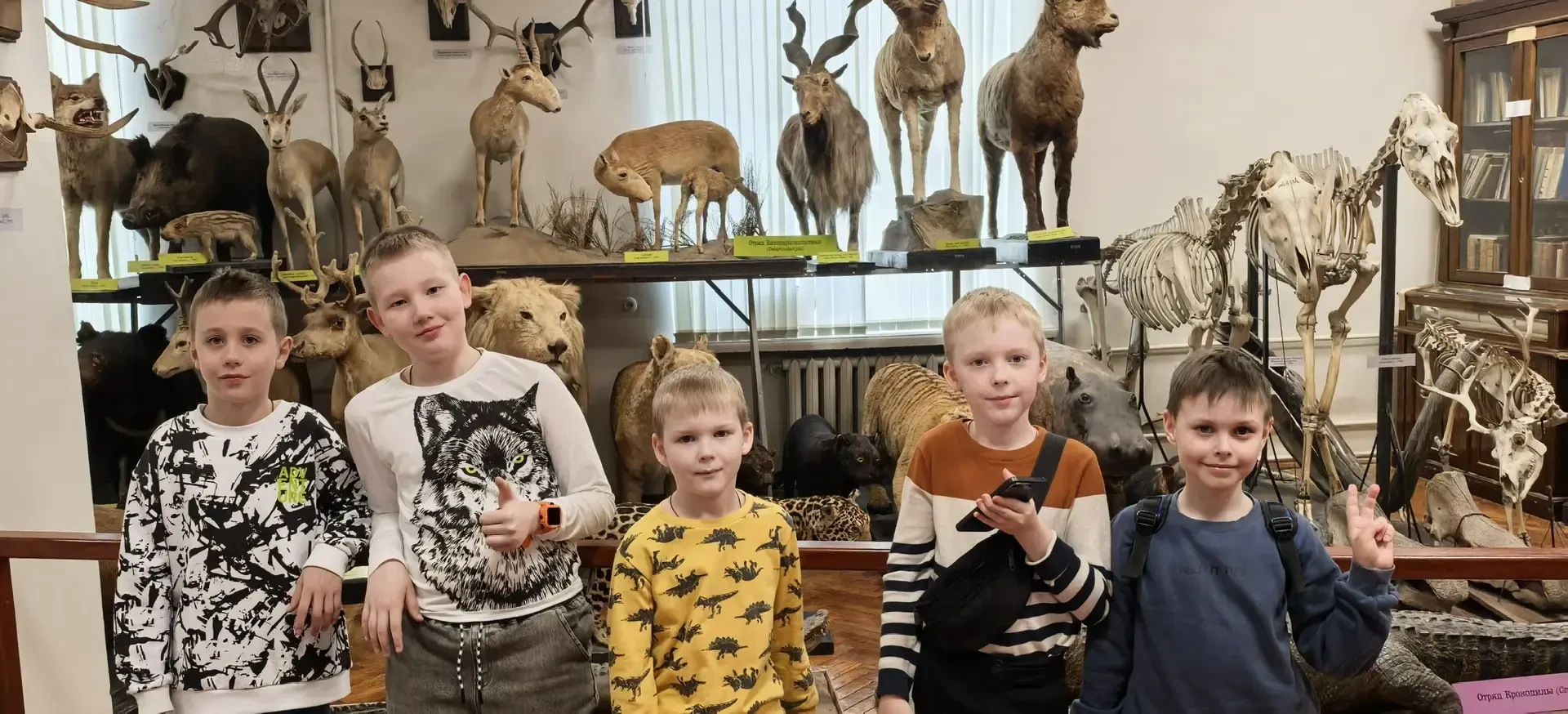 🐾🌿 Орлята на экологической волне!  Ребята из 3Б вместе со своим классным руководителем Новожиловой Н