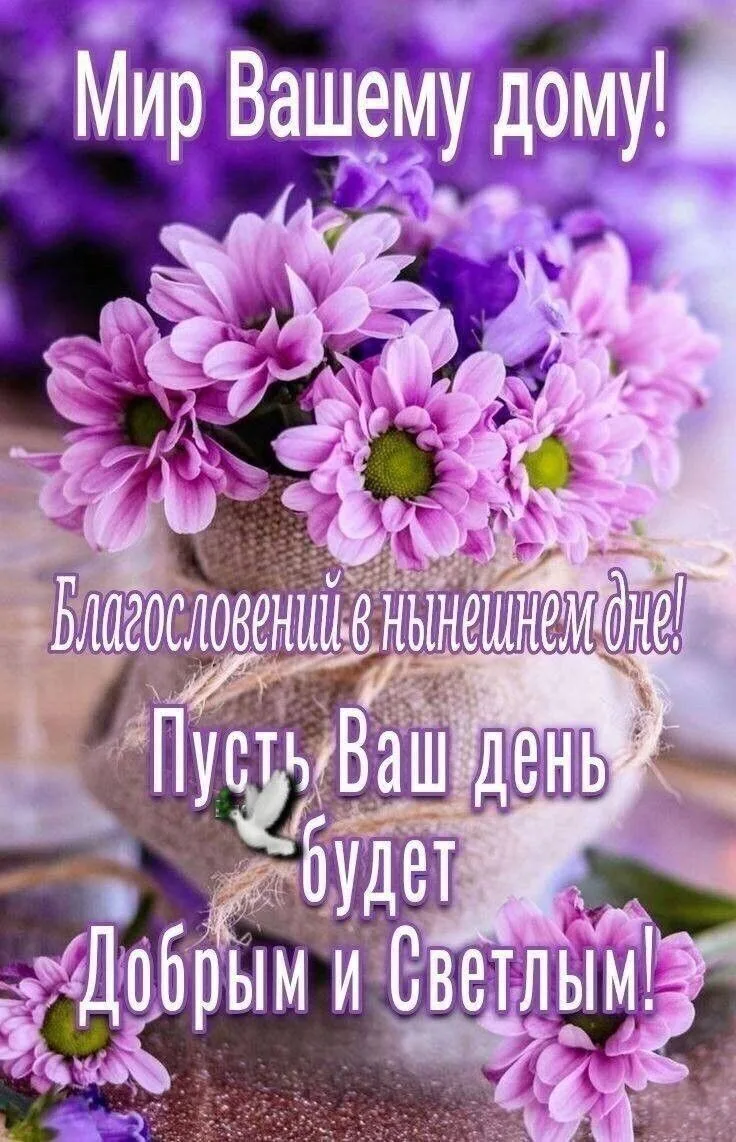Изображение 1 к публикации «ОТКРЫТОЧКИ | ПОЗДРАВЛЕНИЯ | ПРАЗДНИЧНЫЕ КАРТИНКИ»