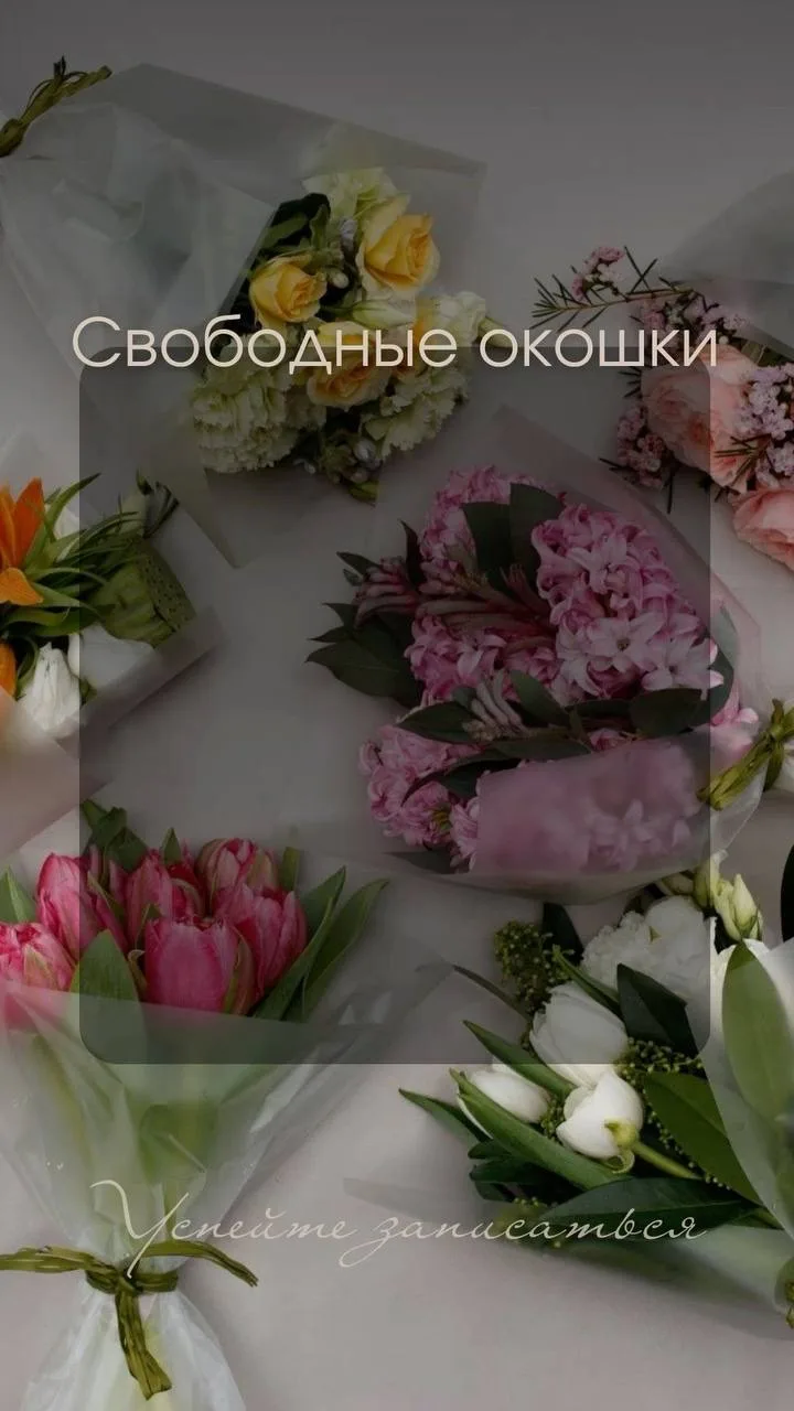 #свободныеокна