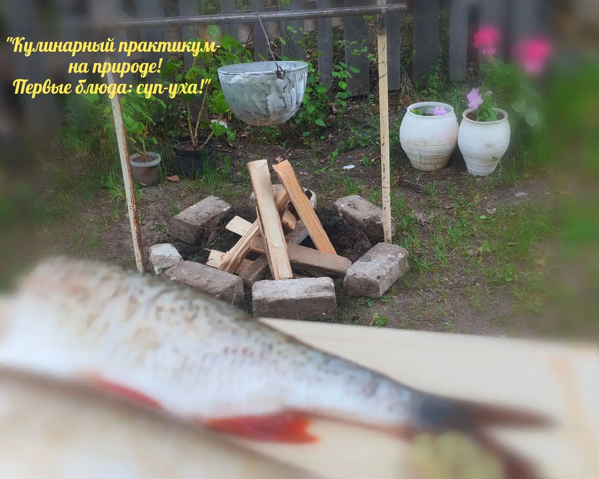 "... Кулинарный практикум в мае- на природе! 🌱