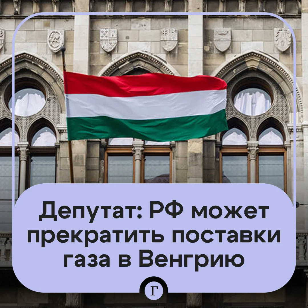 Изображение 1 к публикации «Газета | Новости»