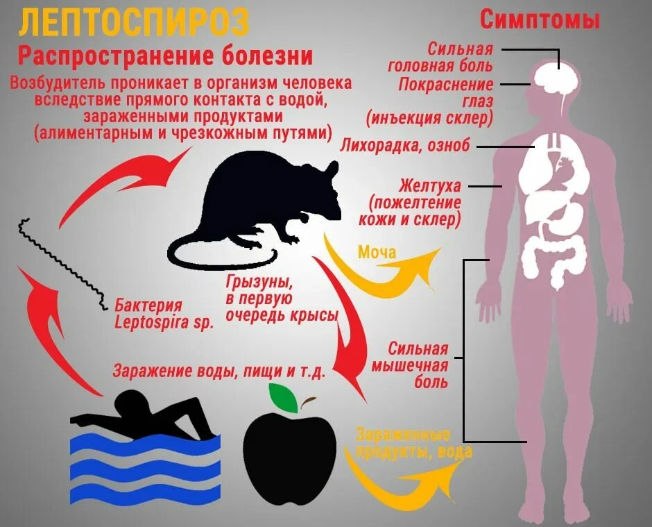 ‼️ПАМЯТКА ДЛЯ НАСЕЛЕНИЯ ‼️