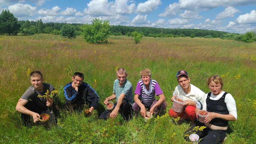 🌟В летнюю пору, когда леса наполняются ароматами спелых ягод, для многих наступает осо...