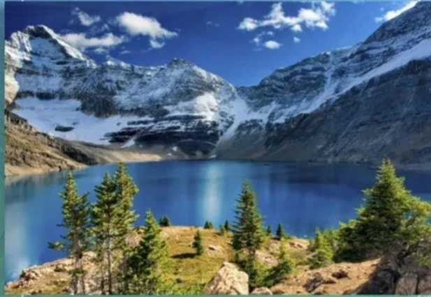 https://vk.com/photo-184814919_493495446