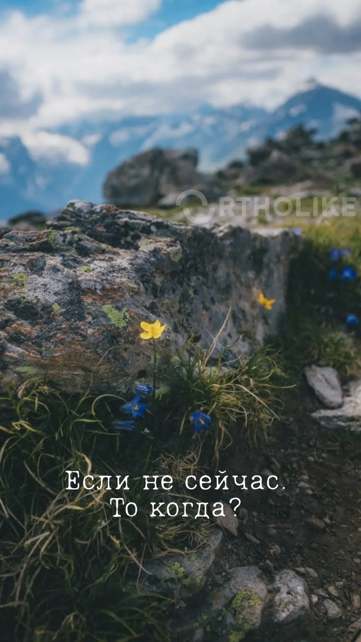 Когда первый день лета — понедельник, то это не повод унывать. Это повод решиться на но...
