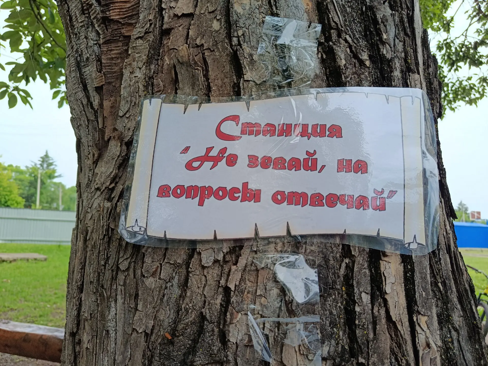 ☀️Лето... Отдых... Солнце

🔑 Сегодня 16 июня  летний оздоровительный лагерь "Дружба" школы с. Анучи