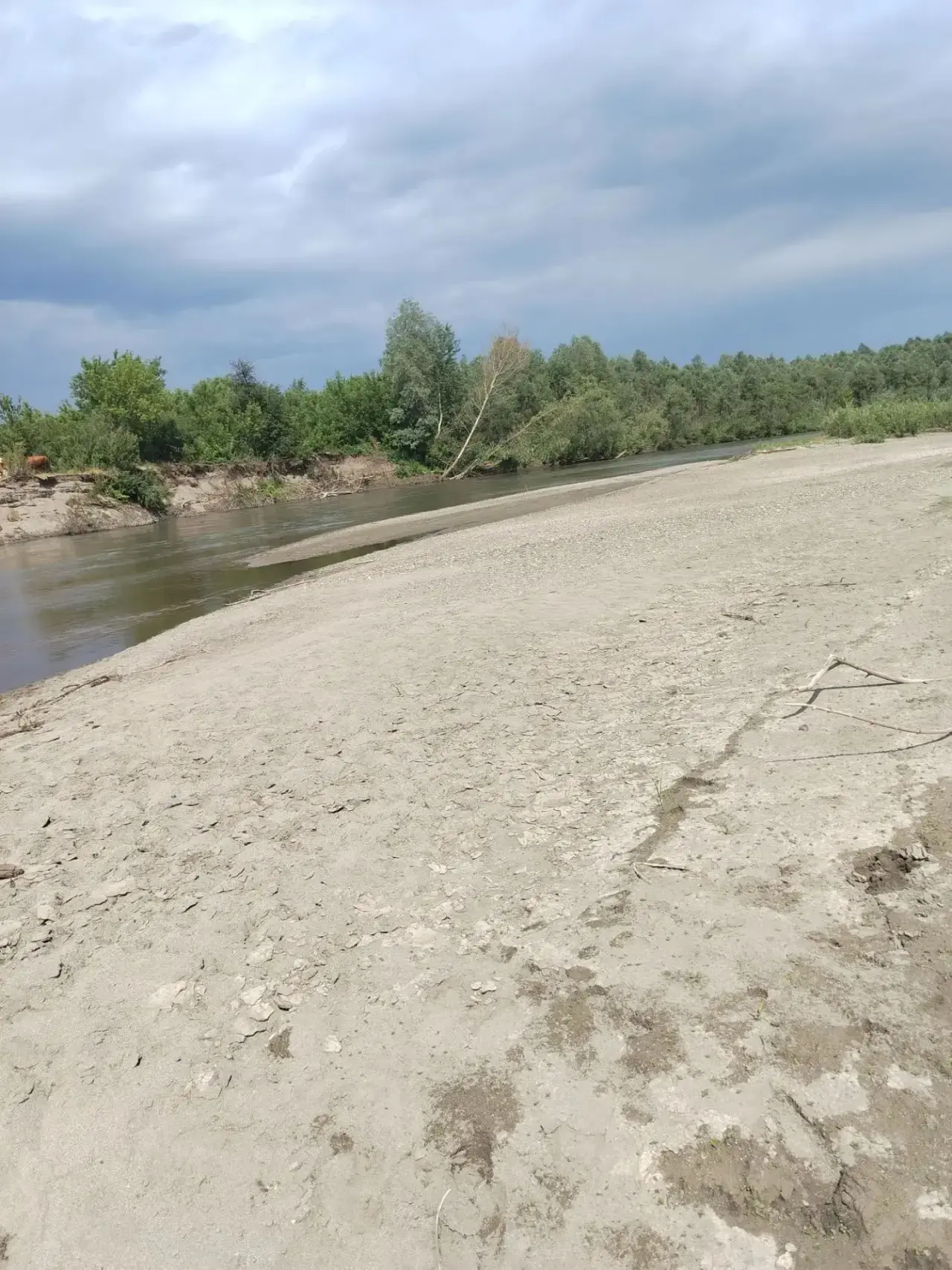 С 15.06.2026-21.06.2026
Работает родительский патруль  1 Б класса на берегах реки Ануй в окрестностя