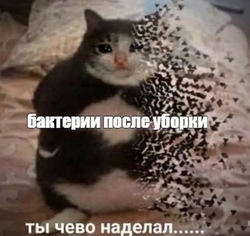🧽 Пост чистоты: кухонные губки, тряпки и полотенца нужно менять гораздо чаще, чем вы думаете

Это н