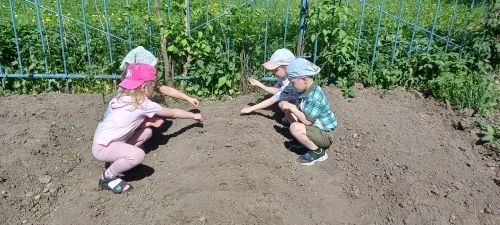 Дети группы "Пчелки " открыли сезон огорода🌱, посадив на своих грядках свёклу  и огурц...