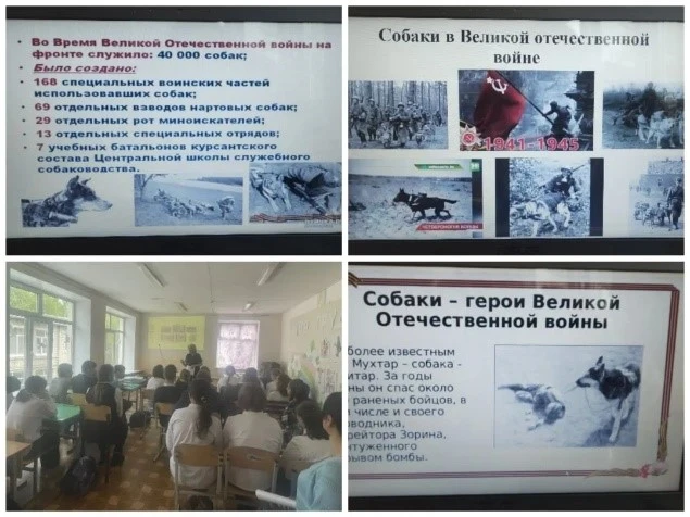 С 12 по 15 мая  2026г.  прошла  предметная  неделя «Солдатами  спасенная  Весна» среди  учащихся  5-