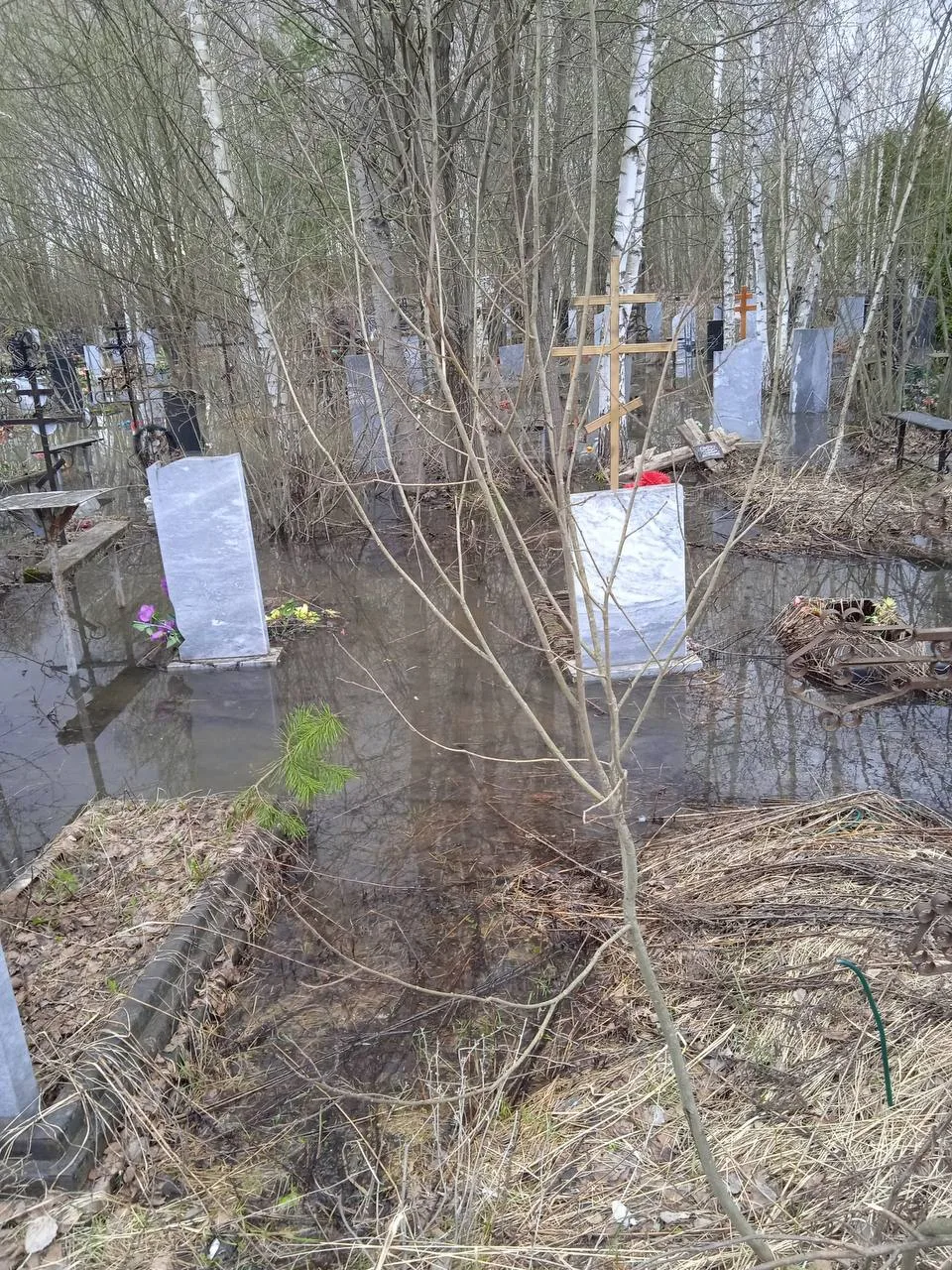 🌊 Ново-Стригинское кладбище ушло под воду  Погост на Автозаводе превратился в болото из-за сильного 
