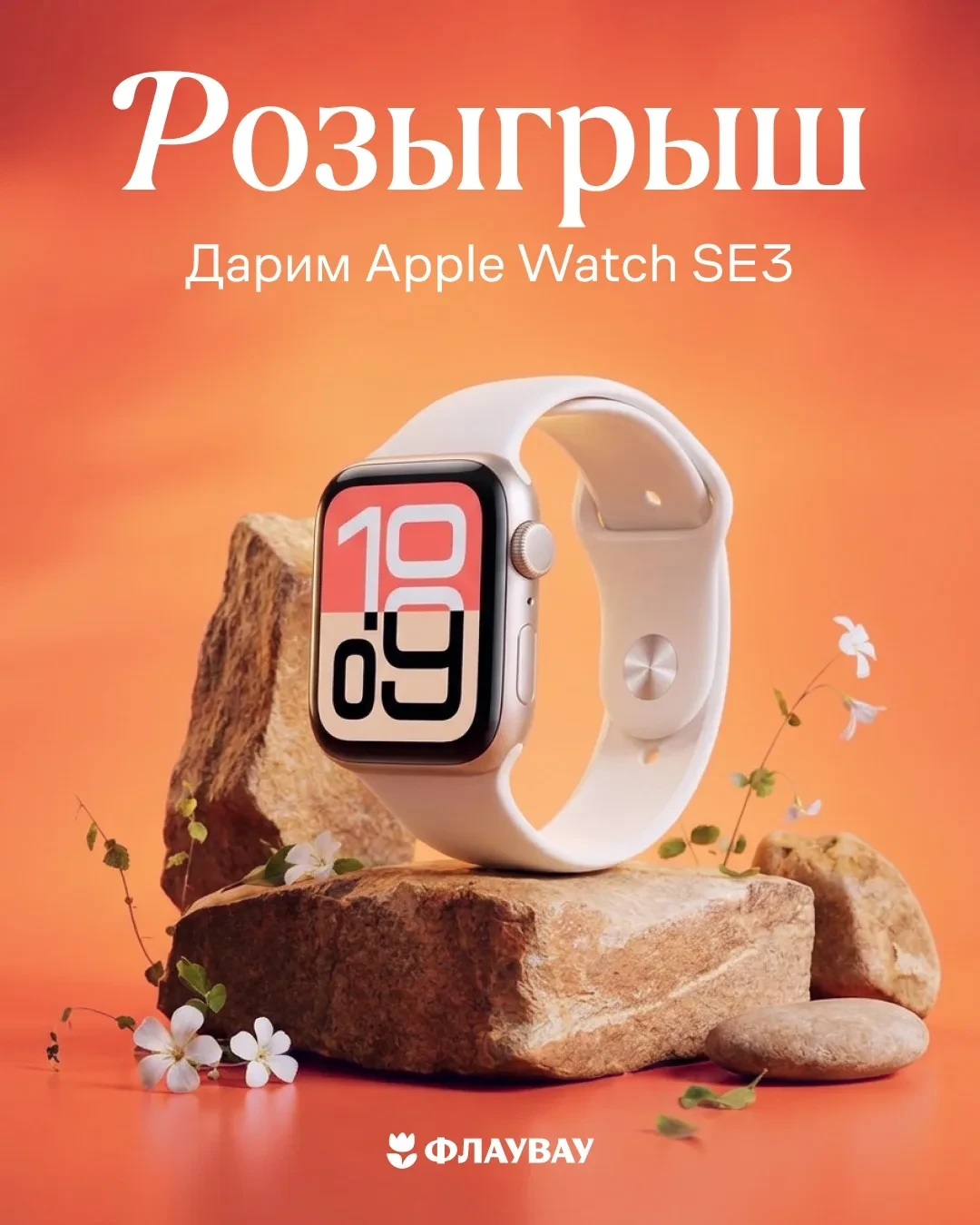 🎁 Розыгрыш!