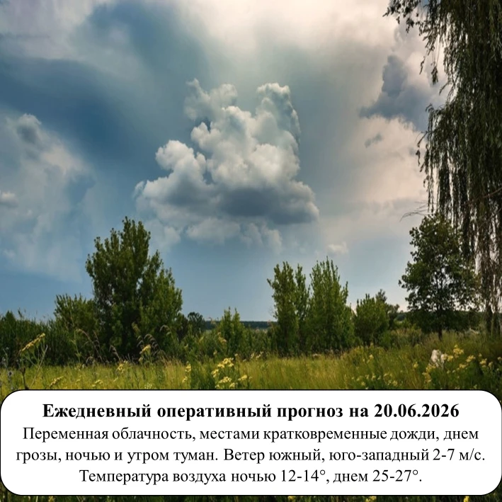На основании ежедневного оперативного прогноза от ГКУ «ТЦМ»