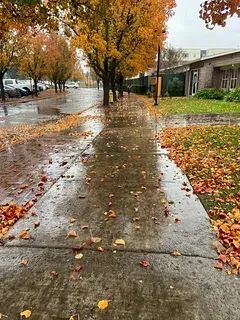 ☔ Выходные будут тёплыми, но мокрыми. И это не повод сидеть дома