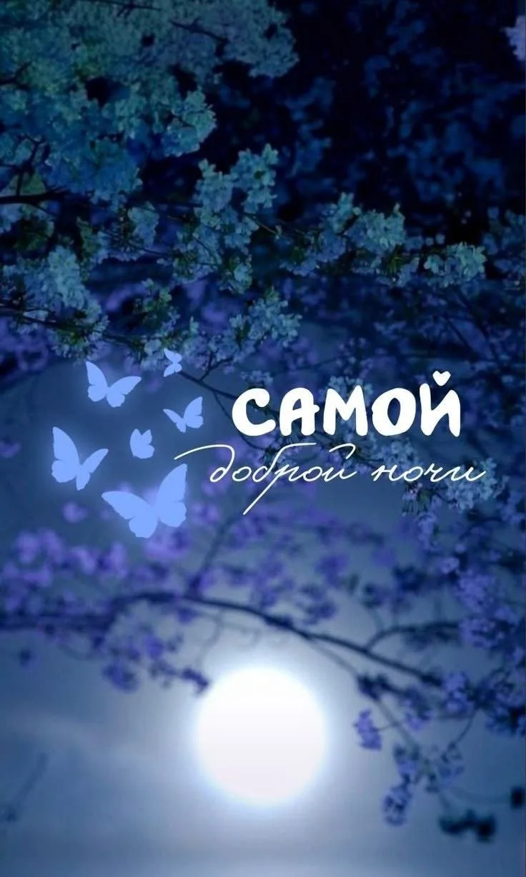 НА СЕГОДНЯ У НАС ВСЁ ❤