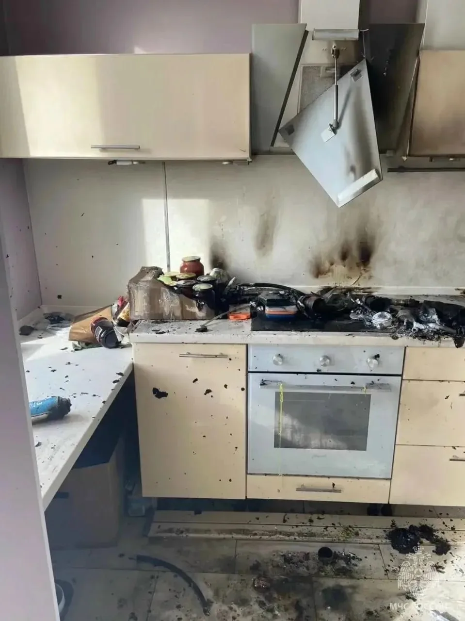В момент взрыва газового баллона в квартире в Одинцово находился только кот.