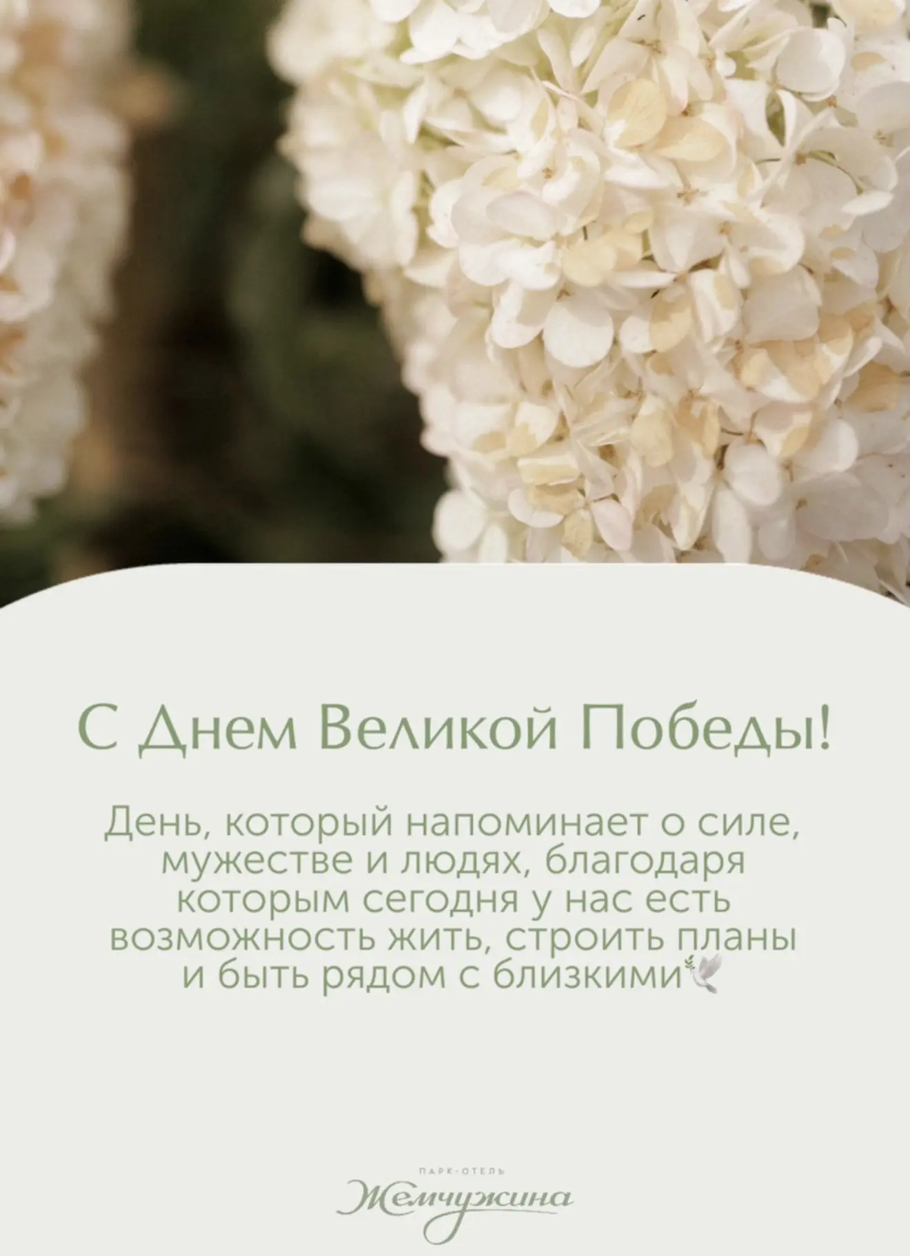 🙏🏻🕊️