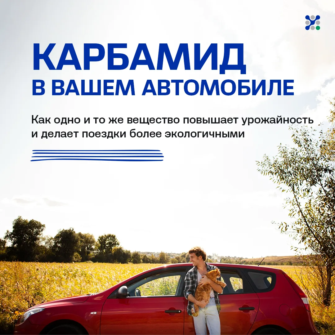 Что делает воздух чище и при чем тут удобрения? 🌤