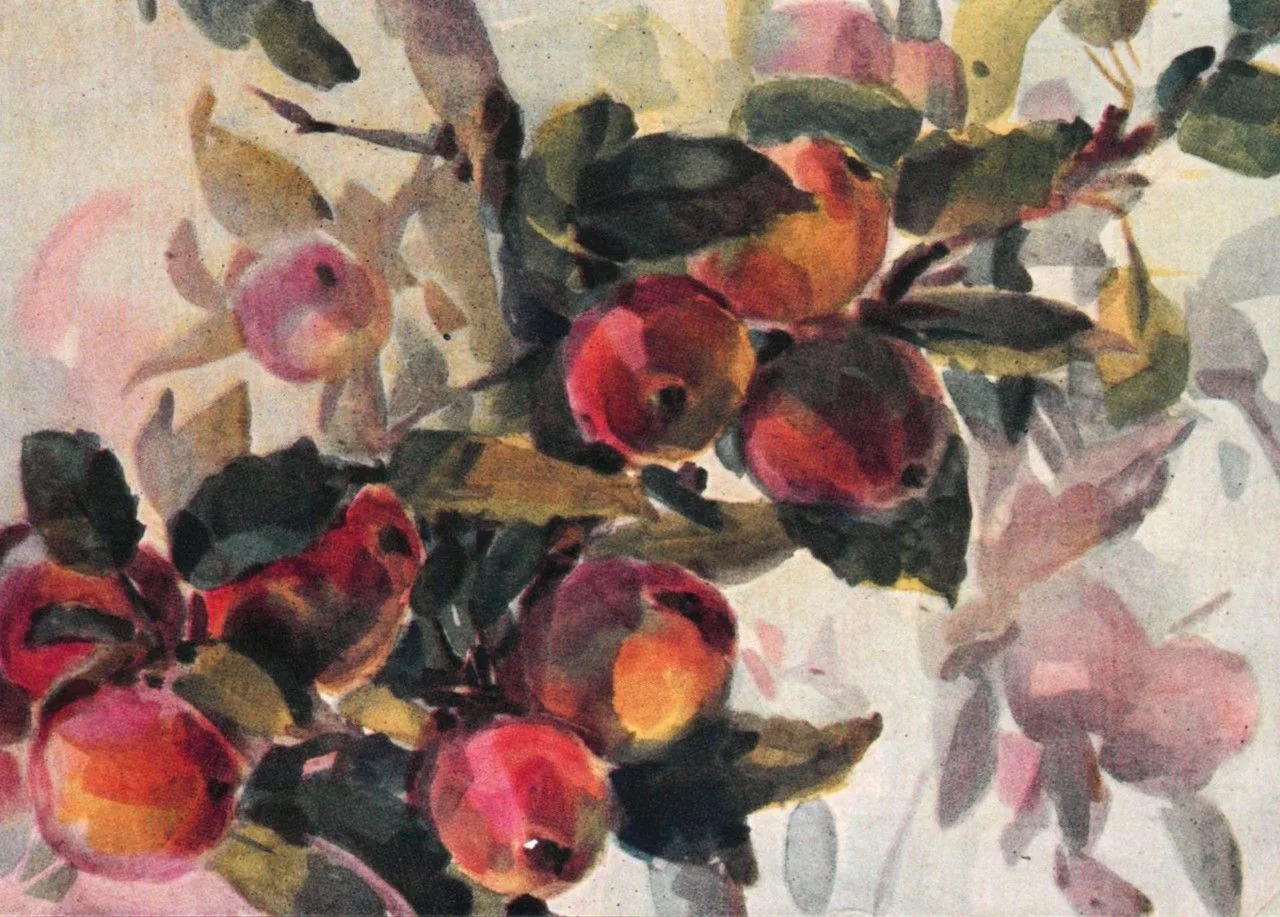 Дорогие друзья!🍎