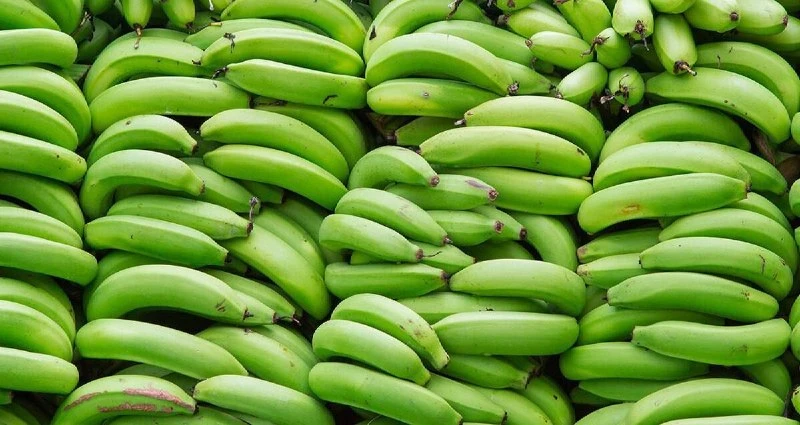 Зеленые бананы несут пользу для кишечника💚
