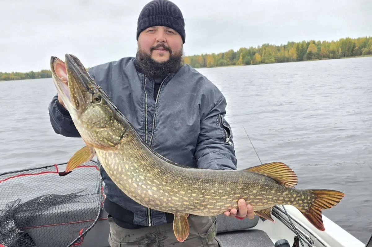 🐟 Священник из Кубенского поймал двух щук общим весом более 17 кг.