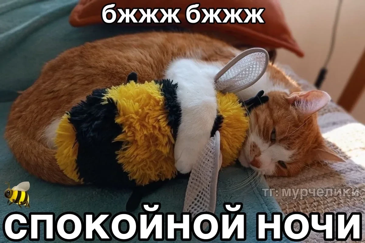 Девчачьи мемы 👑