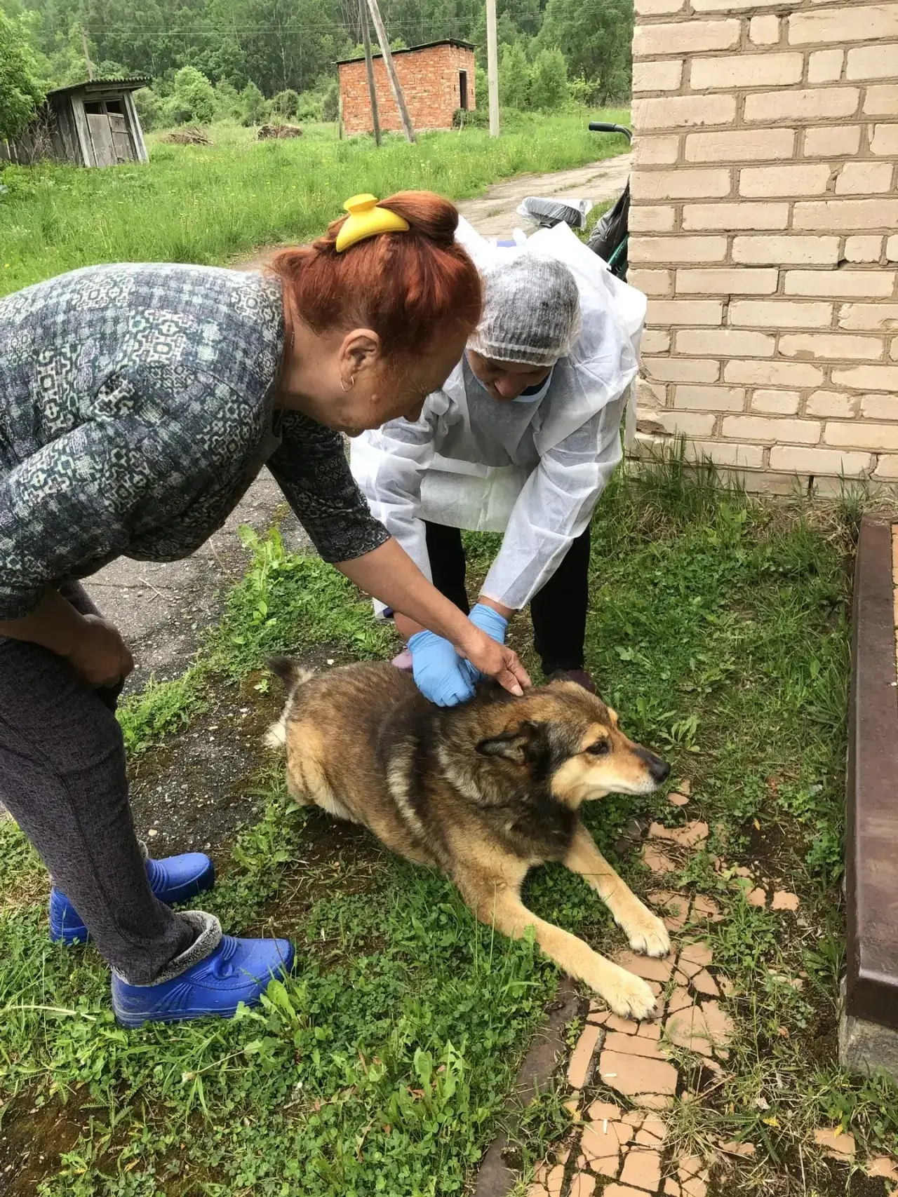 📌Александра Всеволодовна Габрик, заведующая Белебелковским ветеринарным участком, пров...