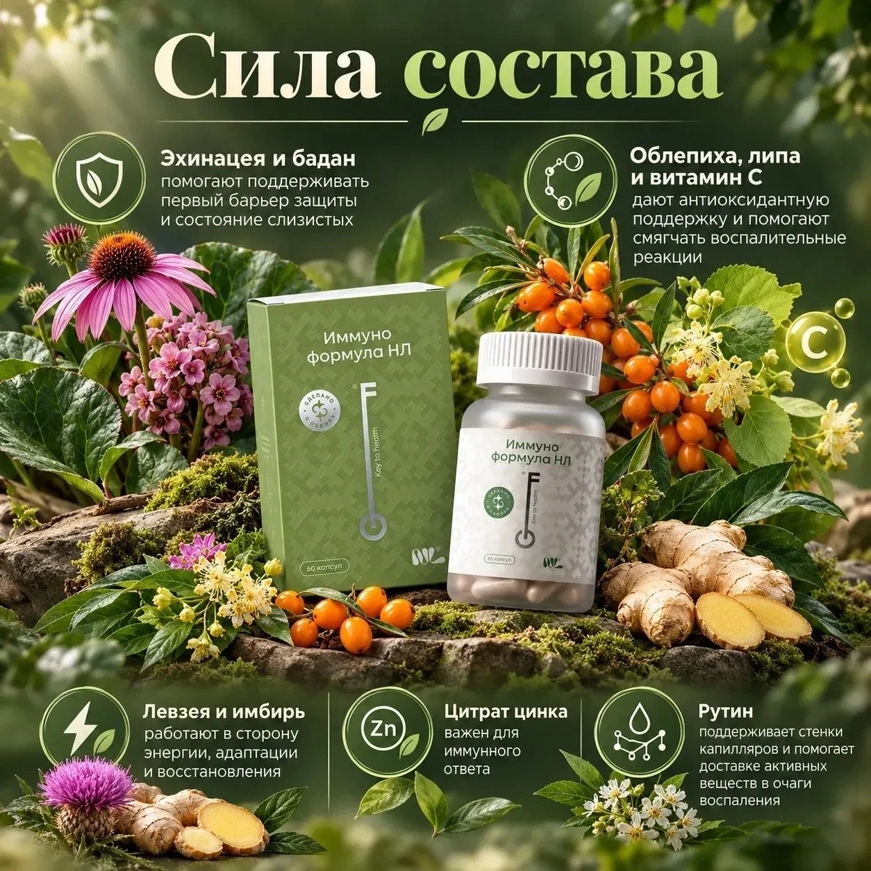 Мне здесь нравится, что формула собрана не в стиле «что-нибудь для иммунитета», а доста...