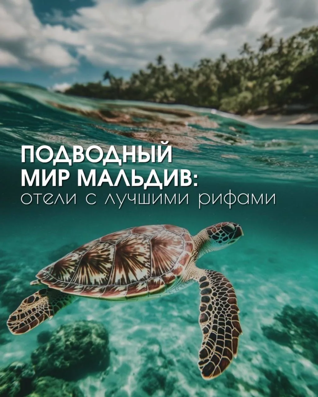 🐠 Подводный мир Мальдив: отели с лучшими рифами