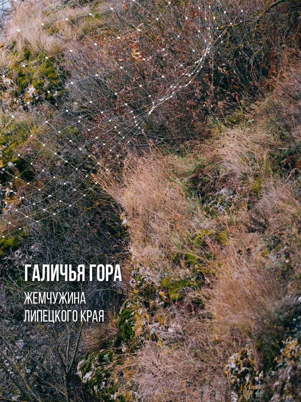 Иногда, чтобы почувствовать величие природы, не нужно лететь за тридевять земель. Доста...