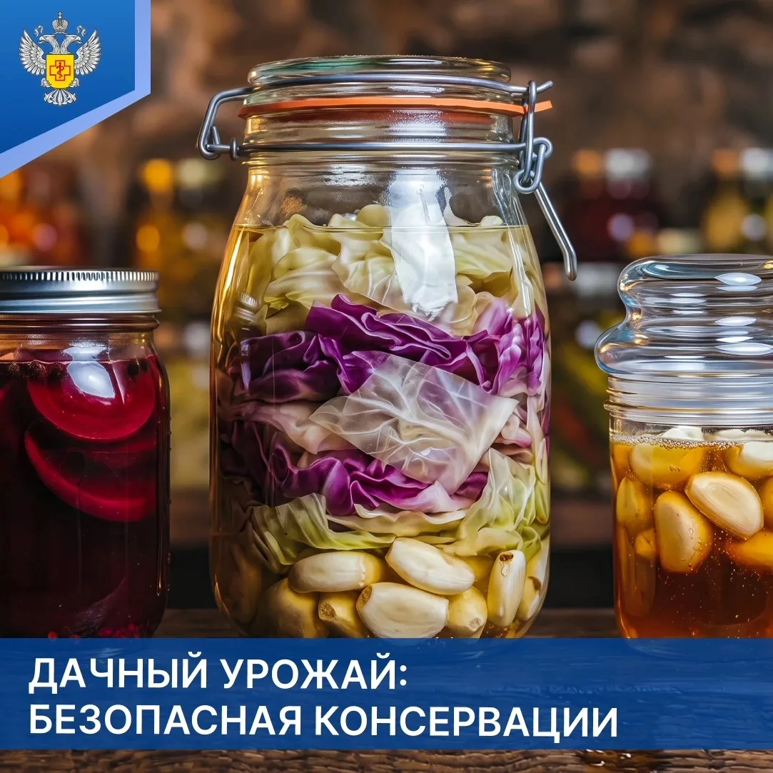 Дачный урожай: безопасная консервации. Как заготовить продукты и не рисковать здоровьем...