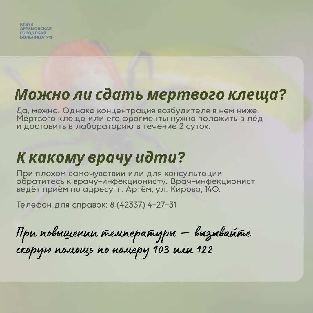 Клещи проснулись! Что делать?  Отвечаем в наших карточках на главные вопросы: как действовать при ук