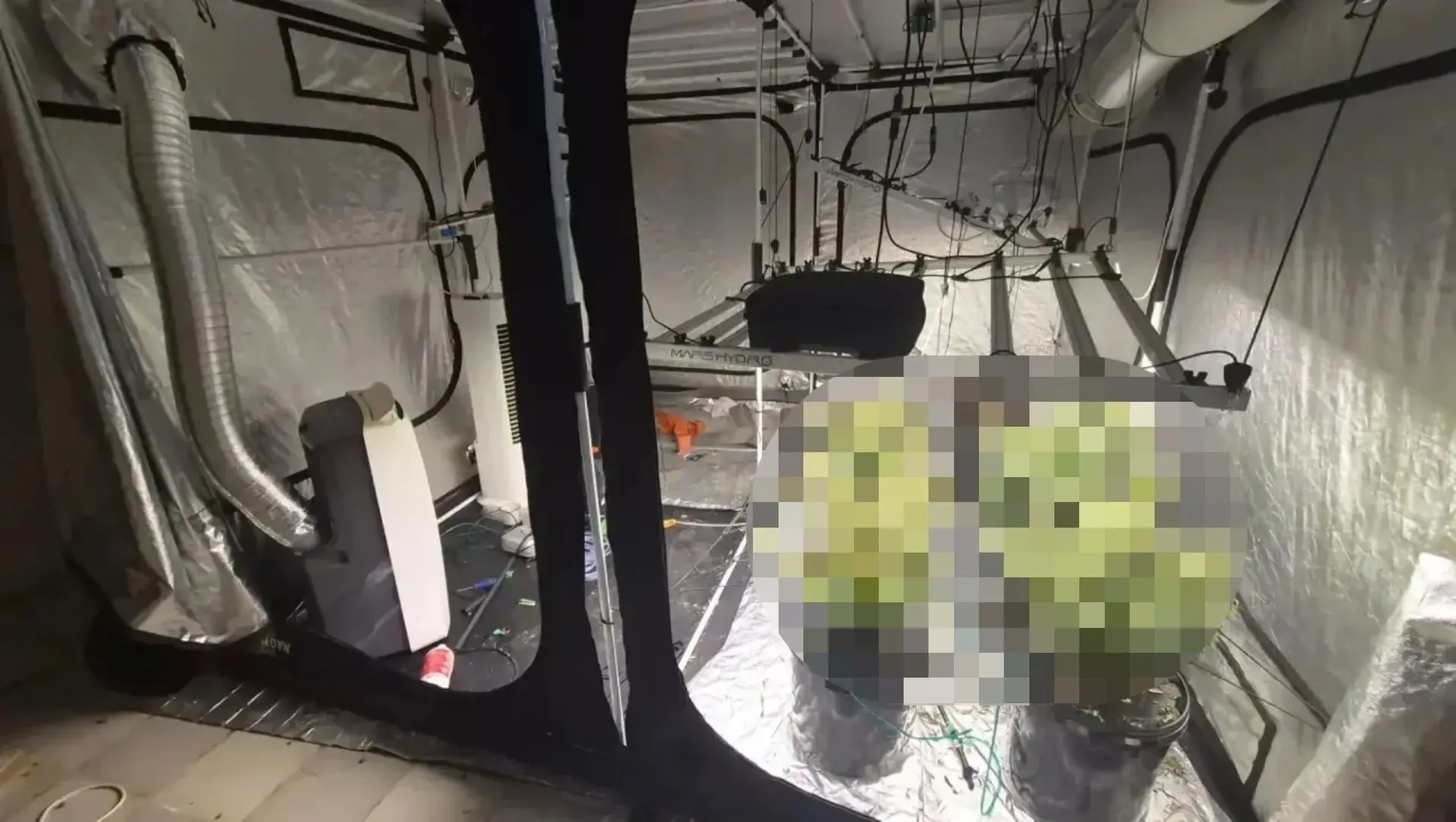 Барнаулец арендовал дом для создания наркофермы 😳