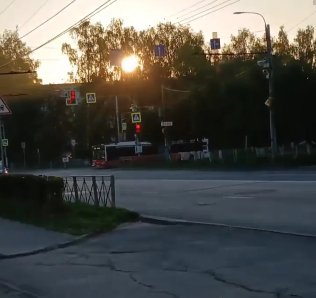 Вышли все четыре новые гармошки сегодня. Два на 20с , два на 24с