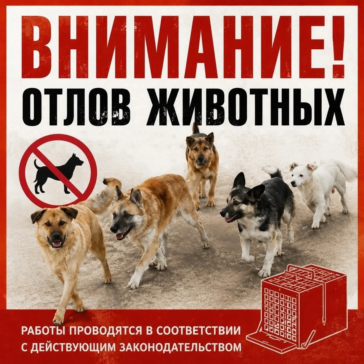 Уважаемые жители Исаклинского района!