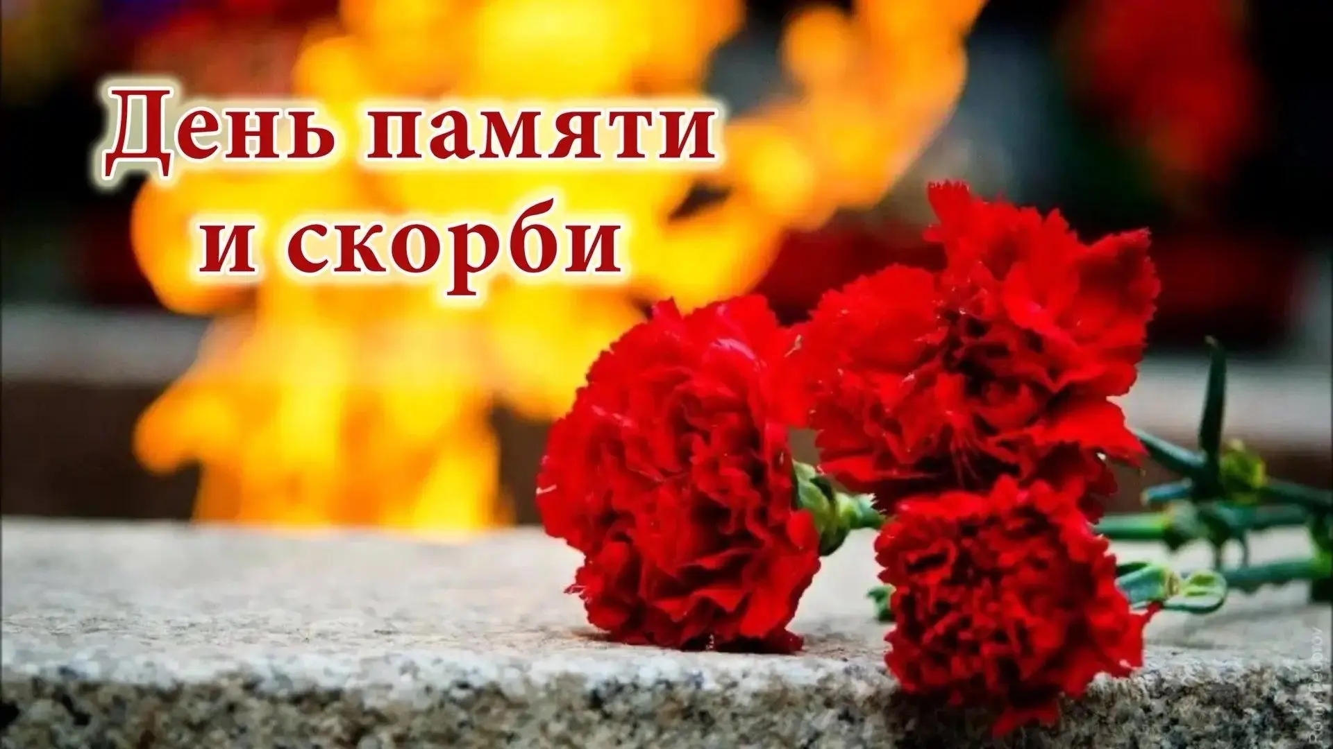 Мы помним! Мы скорбим!
Сегодня, 22 июня, мы склоняем головы в память о тех, кто отдал свои жизни в г