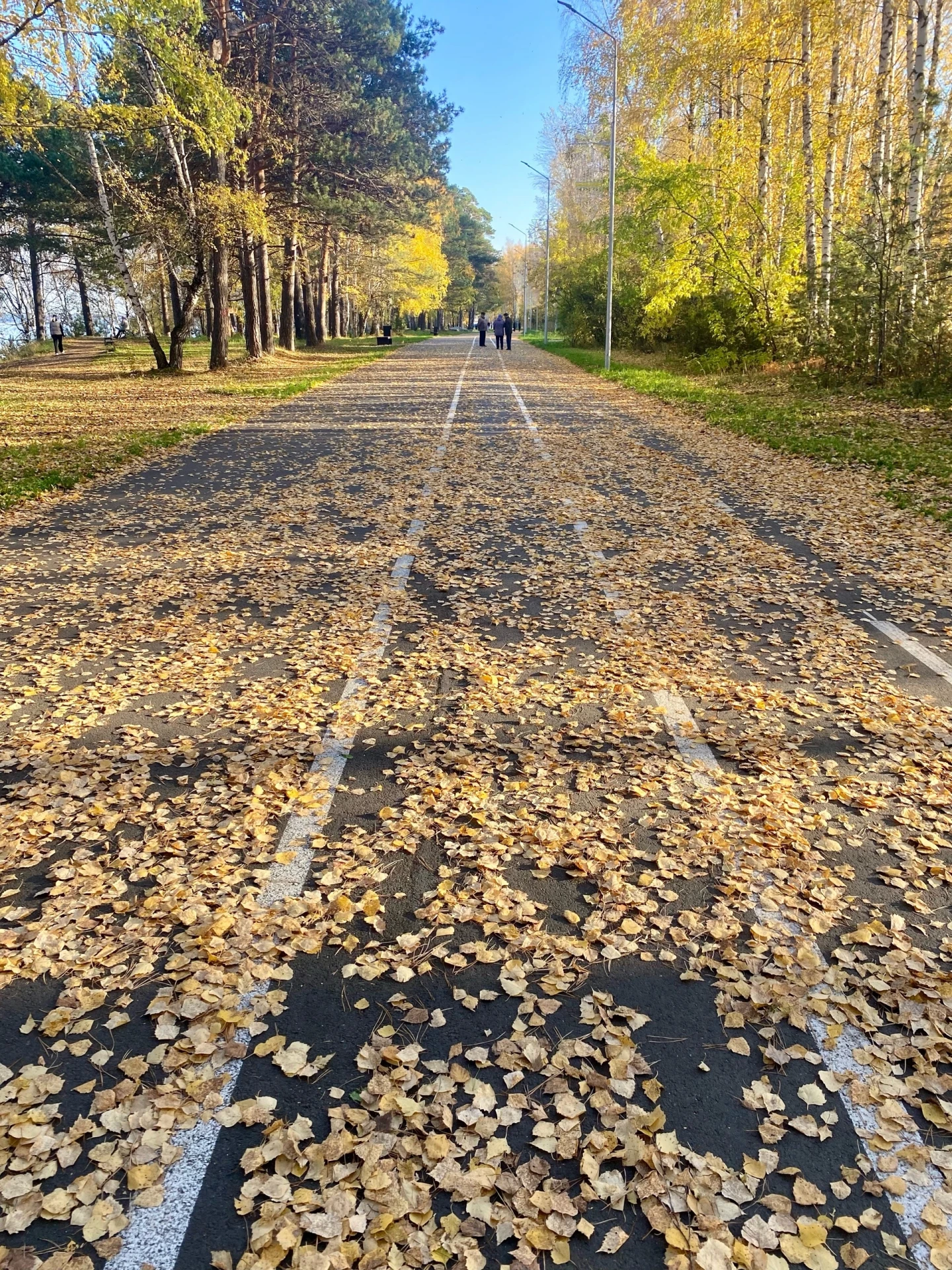 Осенний Лесосибирск